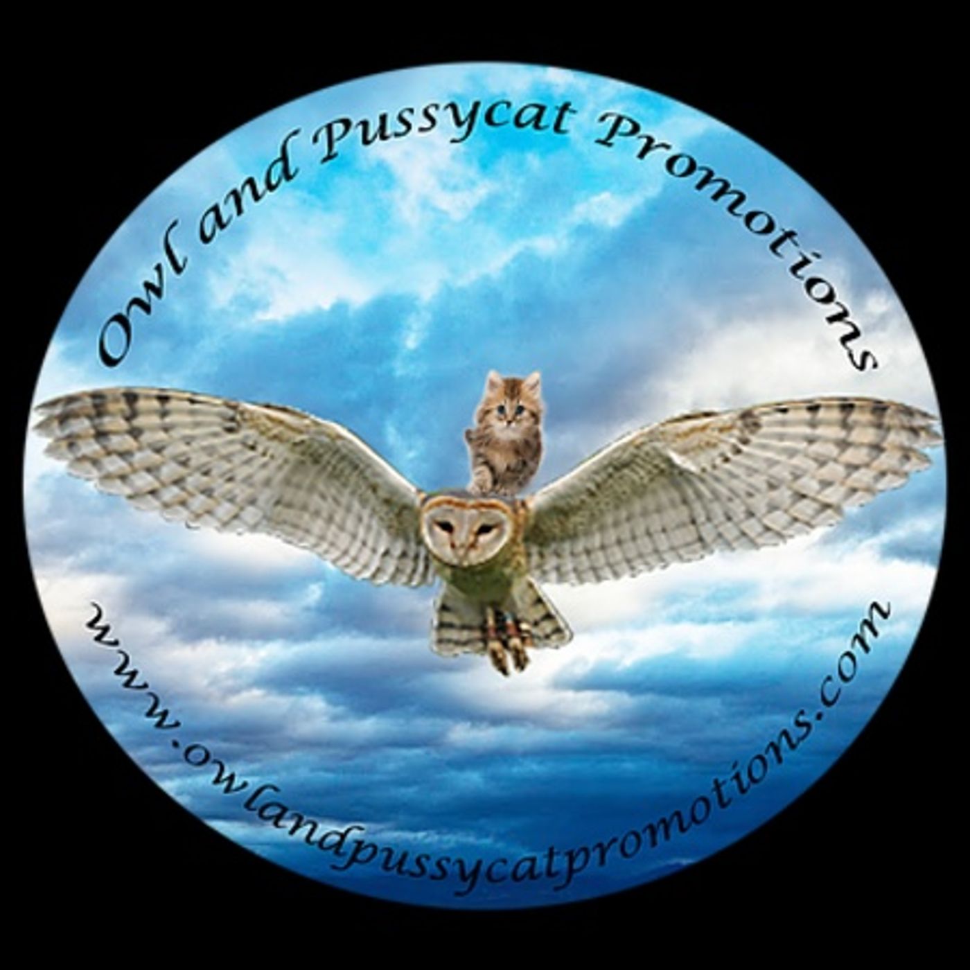 Writers Talk on Michigan Avenue Media