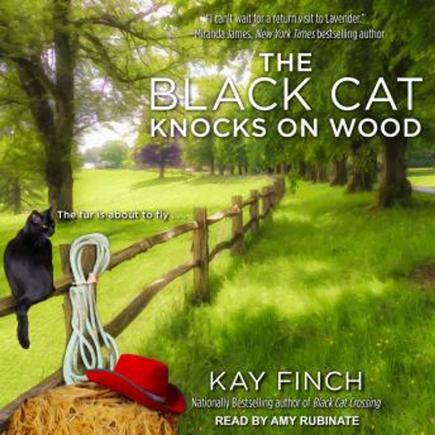 Best Full Audiobooks in Mystery, Thriller & Horror, Police & Detective