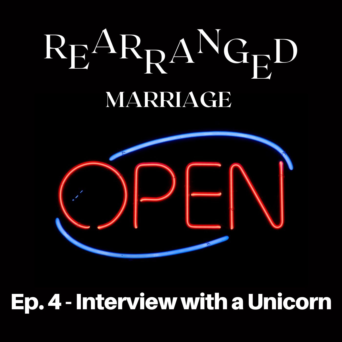 Interview with a Unicorn