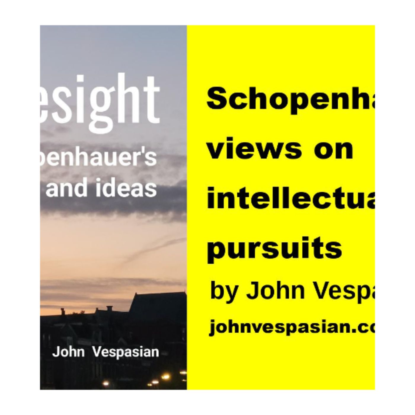 Schopenhauer’s views on intellectual pursuits episode artwork