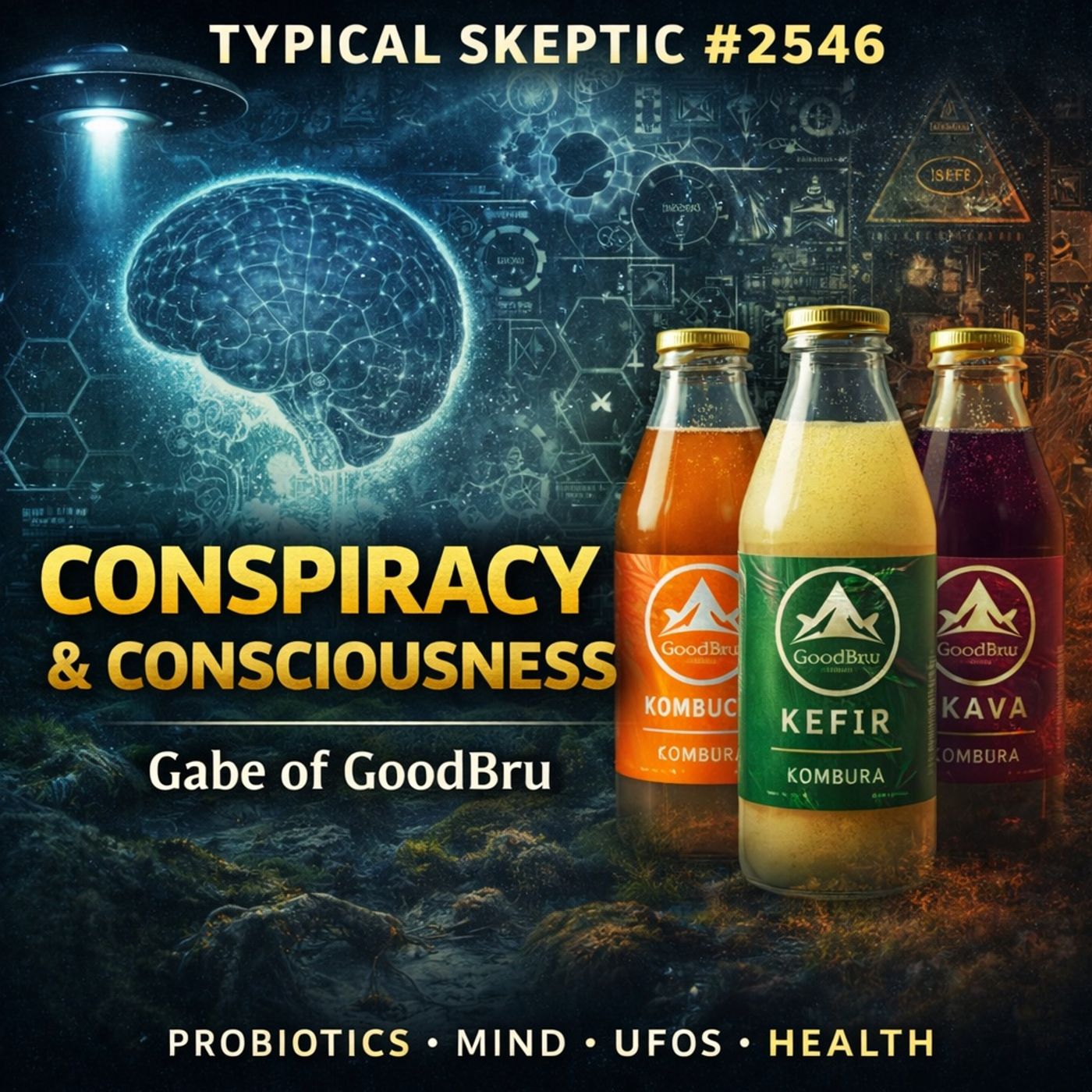 Conspiracy, Consciousness & Probiotic Drinks | Gabe of GoodBru – TSP #2546