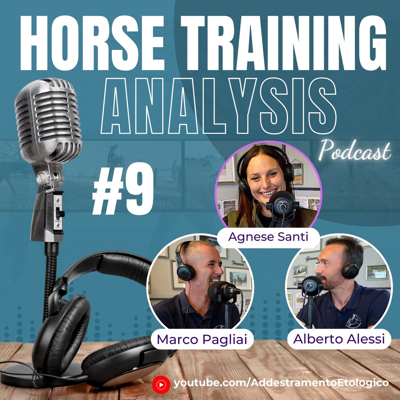 Horse Training Analysis