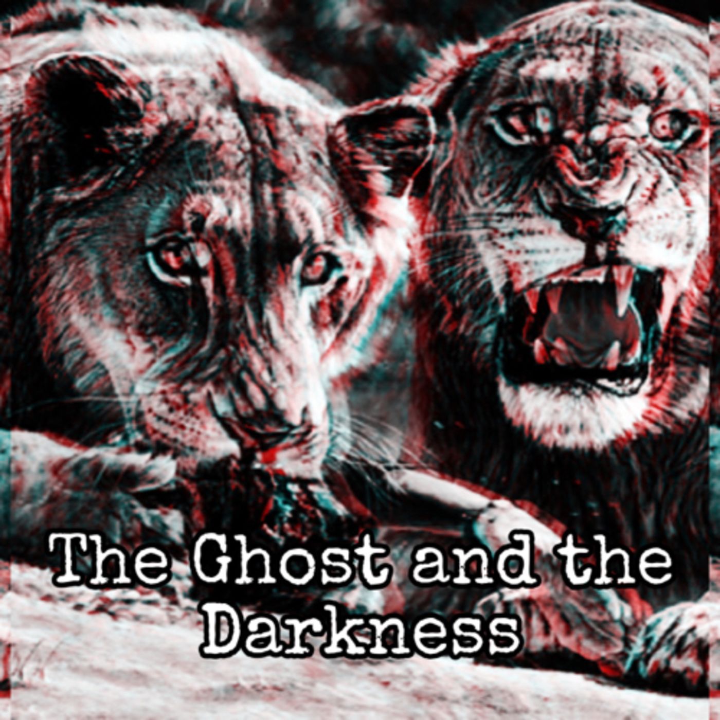 Perplexity: A Mystery Podcast