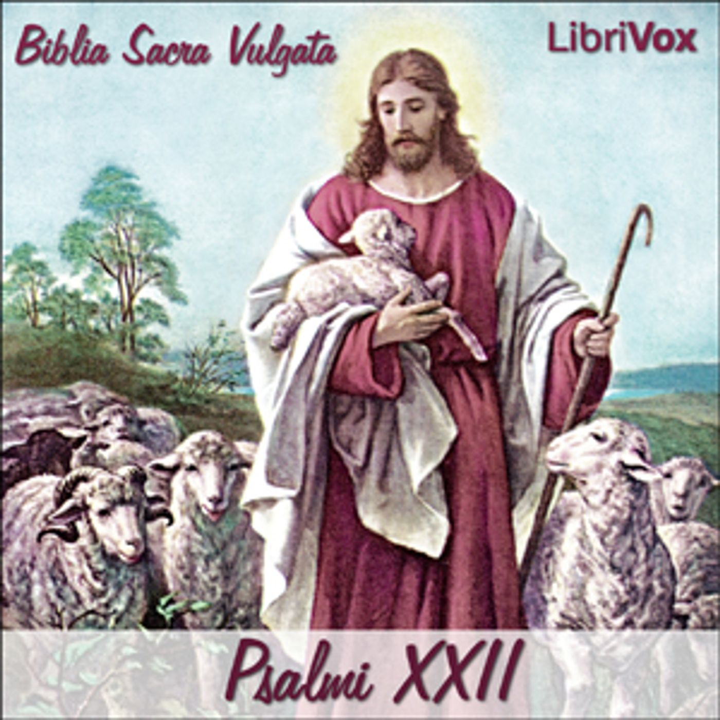 Bible (Biblia Sacra Vulgata) 19: Psalmi XXII by Biblia Sacra Vulgata