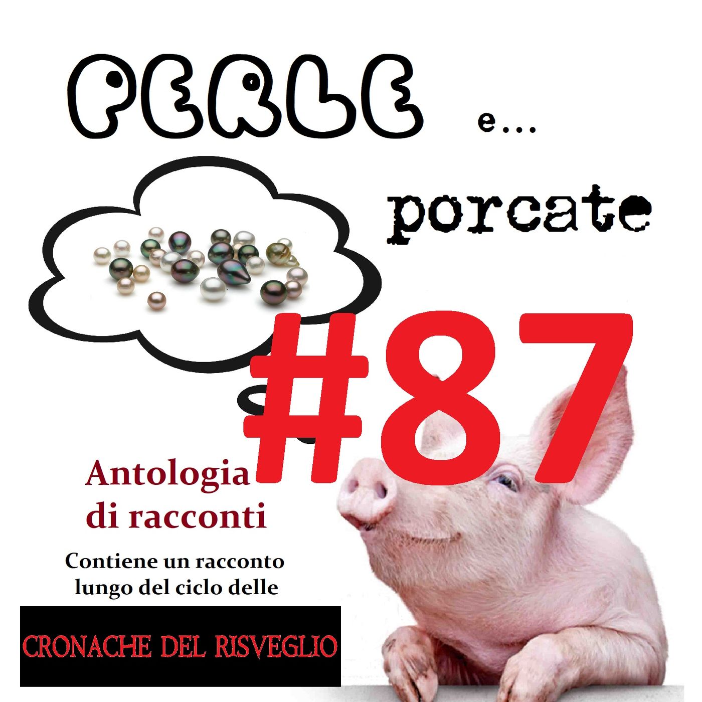 STORIE DA BOOMER 02 – Due paladini e una pulzella: un frammento dalle Cronache del Risveglio - Puntata 87 episode artwork