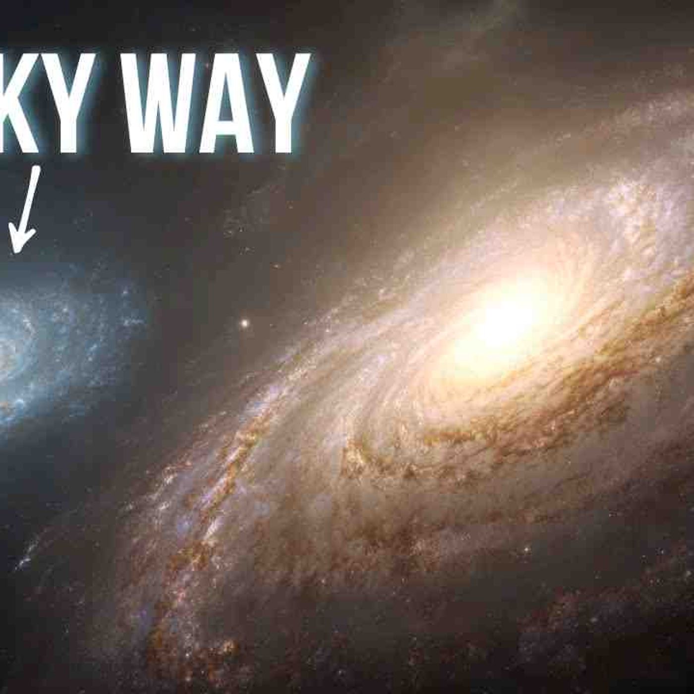 The Largest Galaxy We_ve Ever Found_ episode artwork