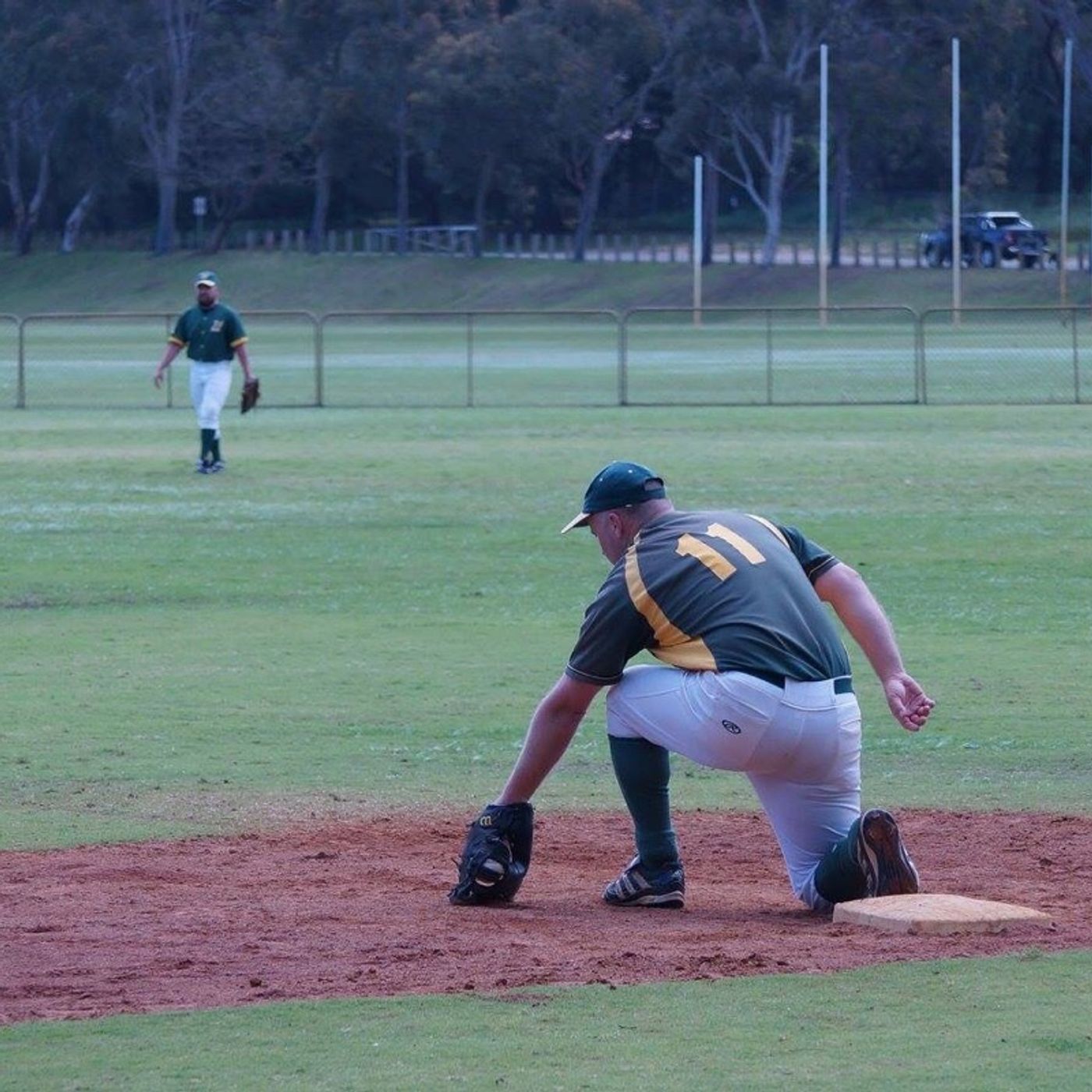Ladywhips Baseball