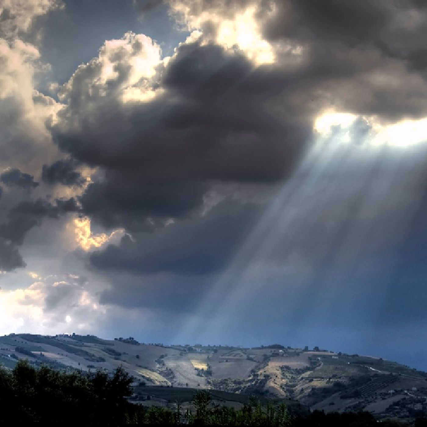 Fratellanza Cristiana