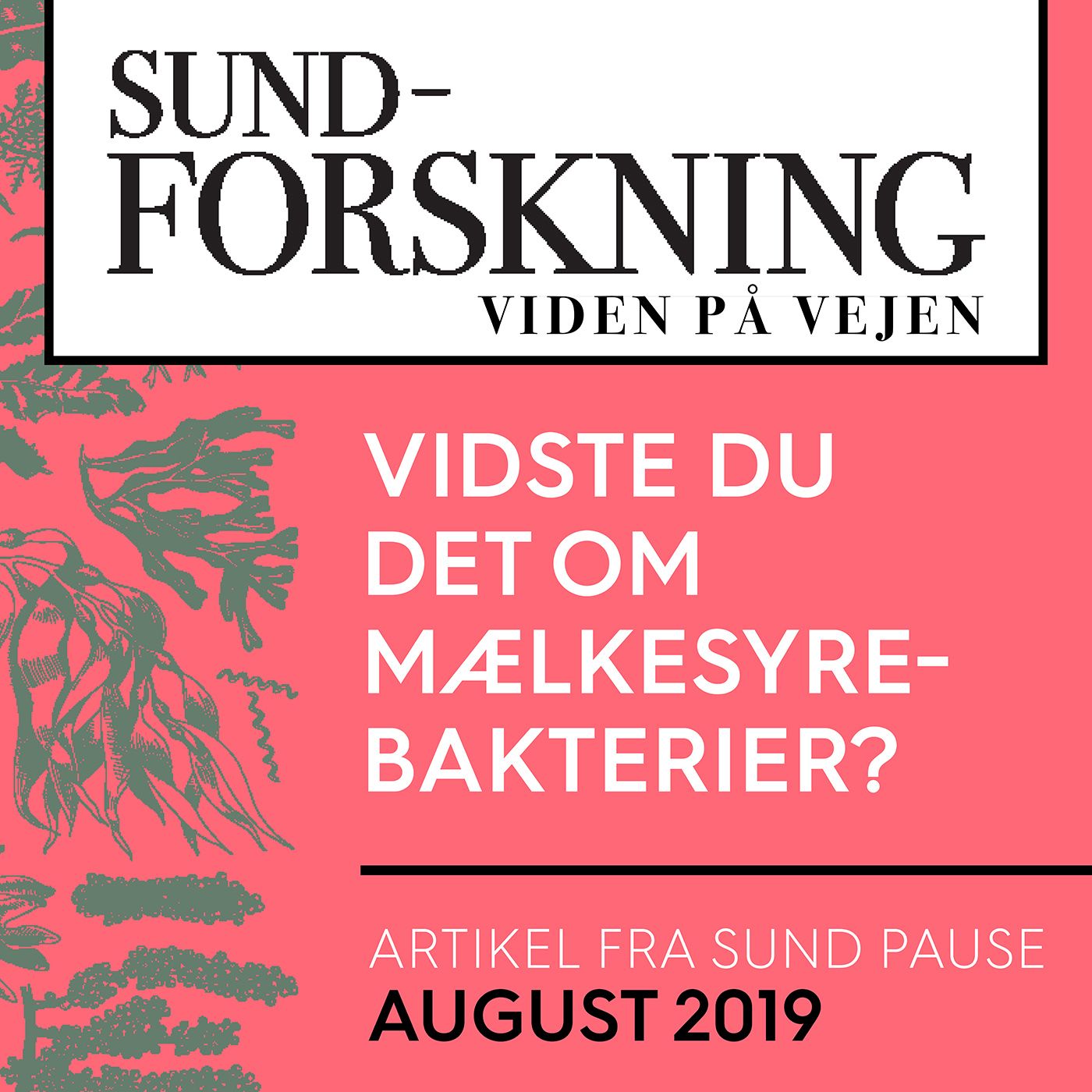 Sund Pause: Vidste du det om mælkesyrebakterier?