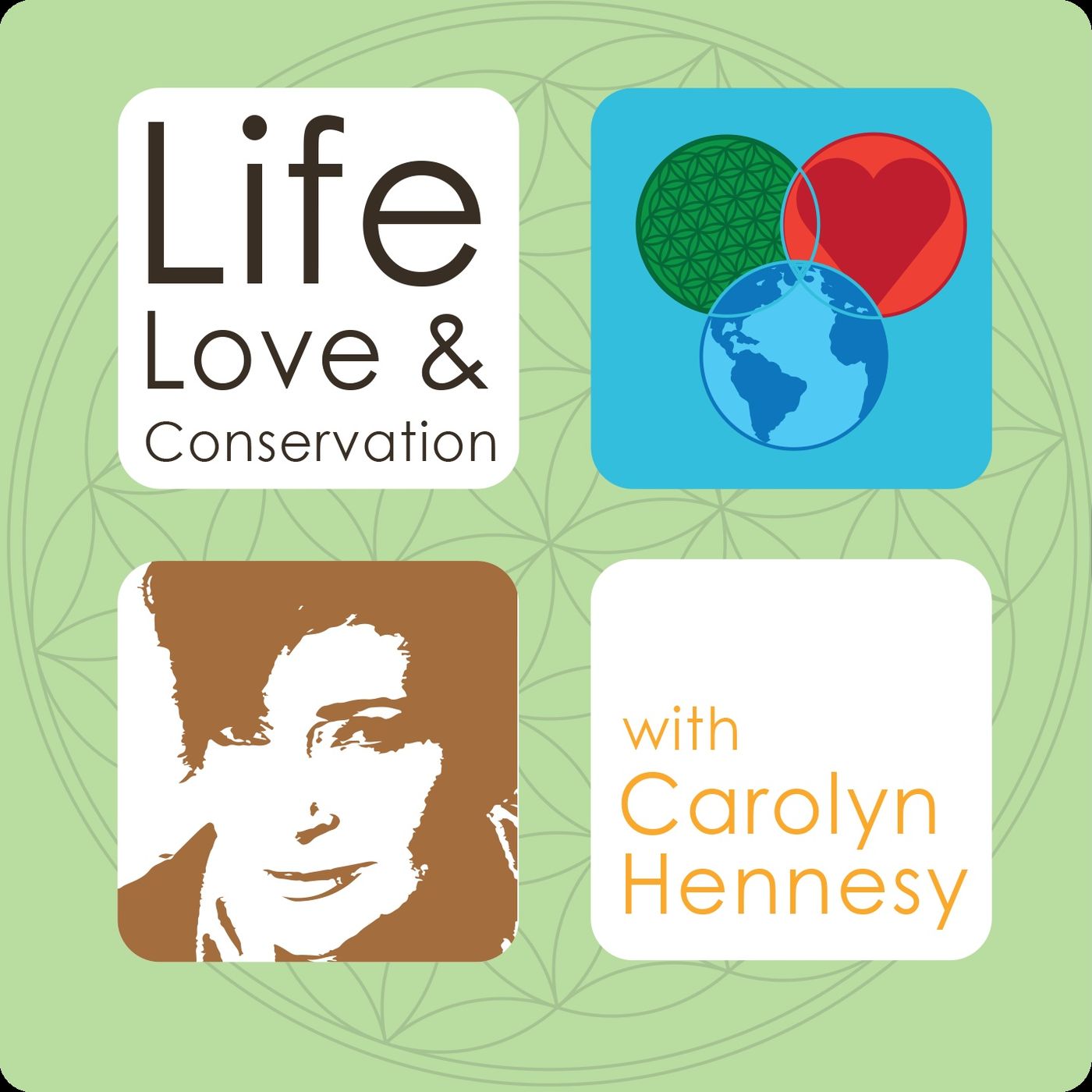 Life, Love & Conservation with Carolyn Hennesy