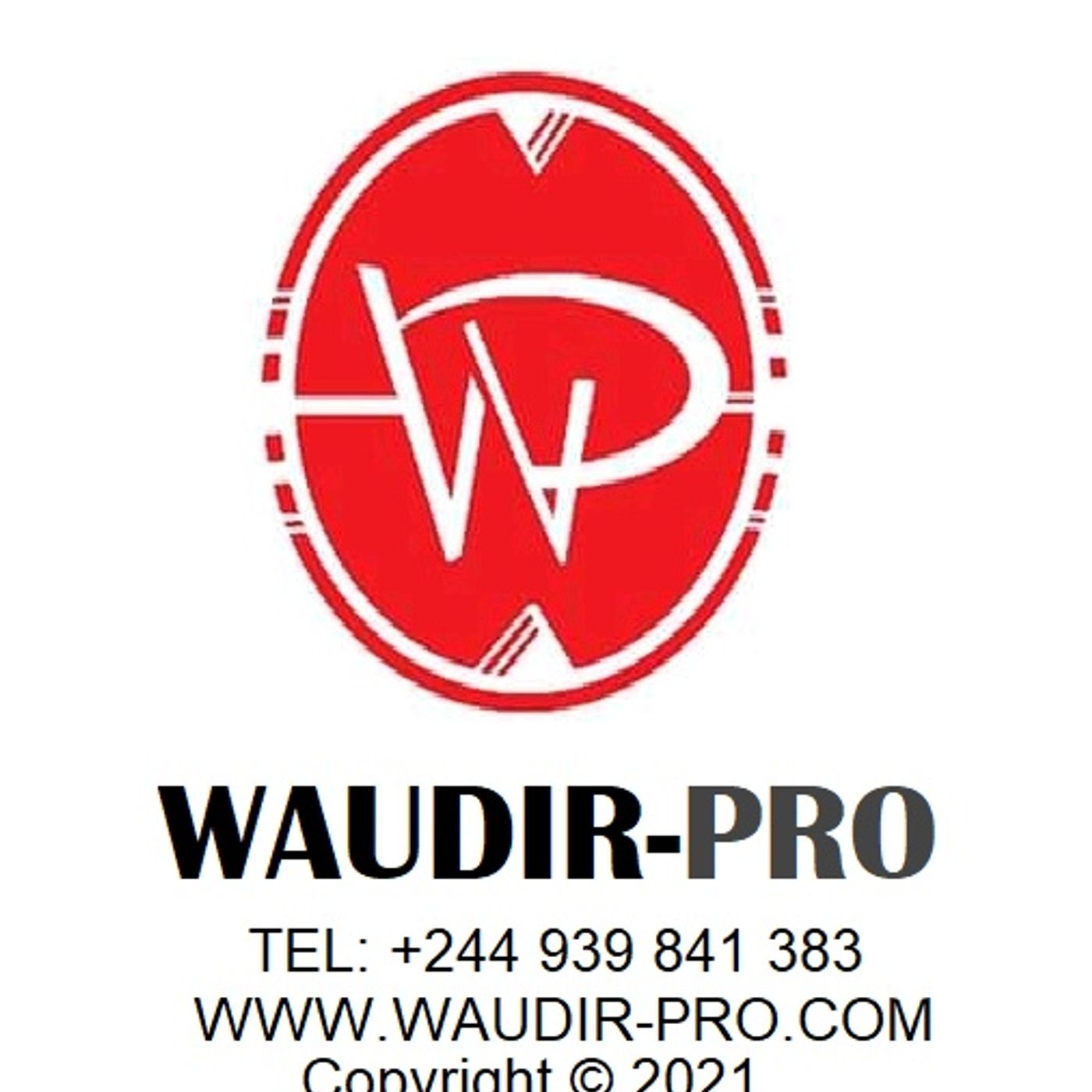 WAUDIR-PRO