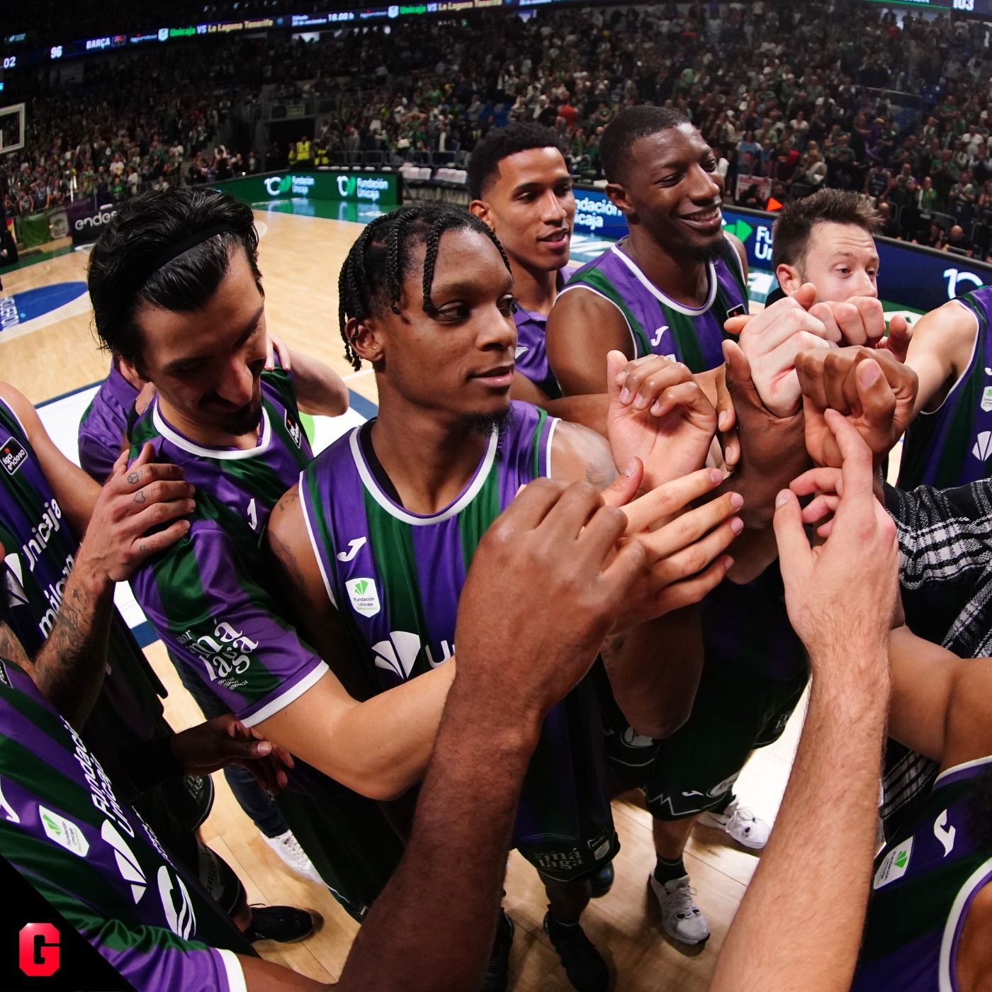 Gigantes Daily, baloncesto al día