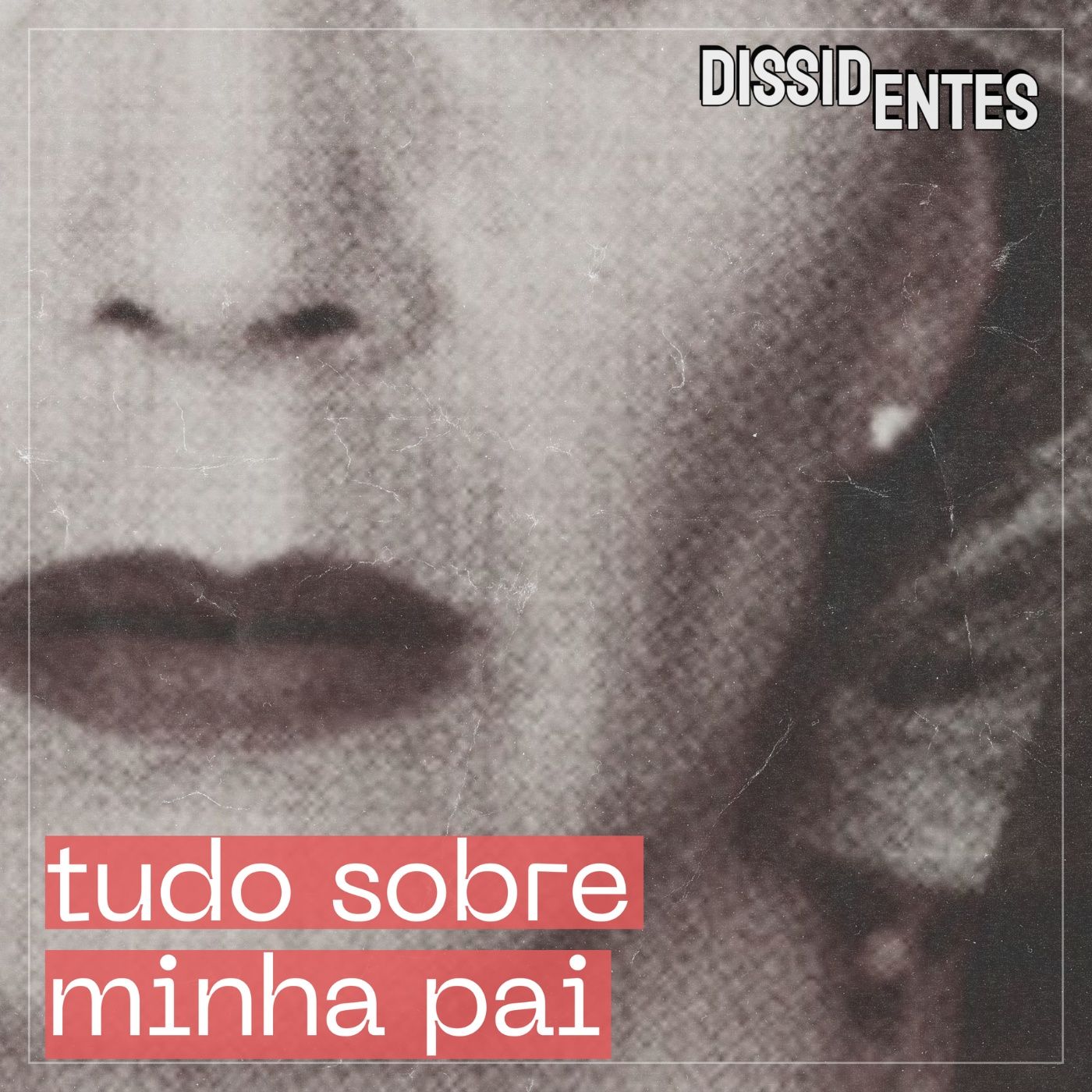 Dissidentes