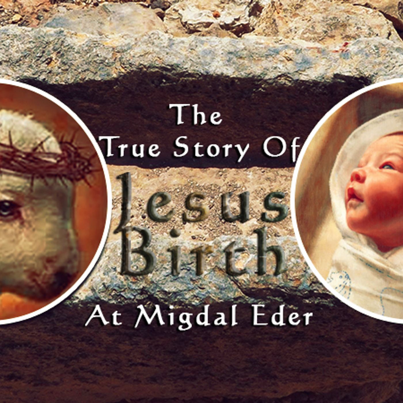 The True Story of the First Christmas According to the King James Bible episode artwork