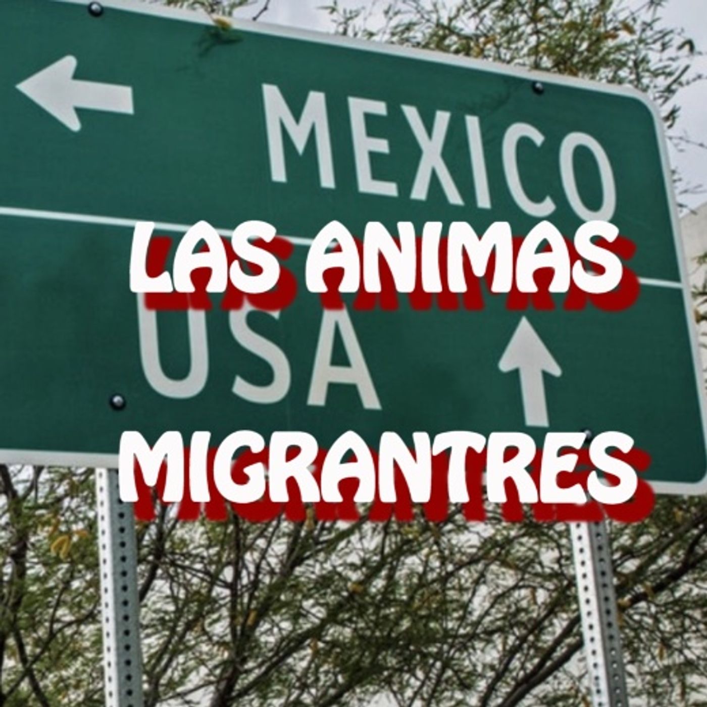 Las Animas Migrantes / Relato de Terror