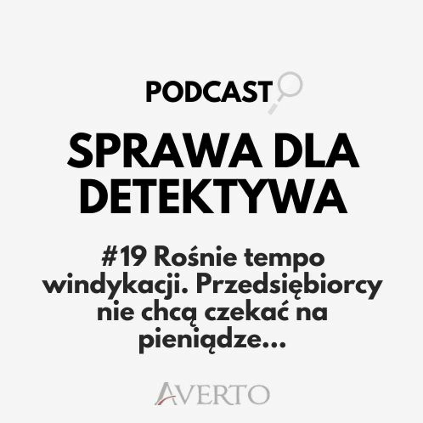 Sprawa dla detektywa