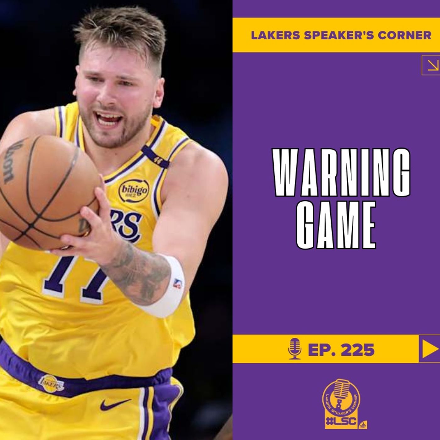 LSC 225 - Warning Game