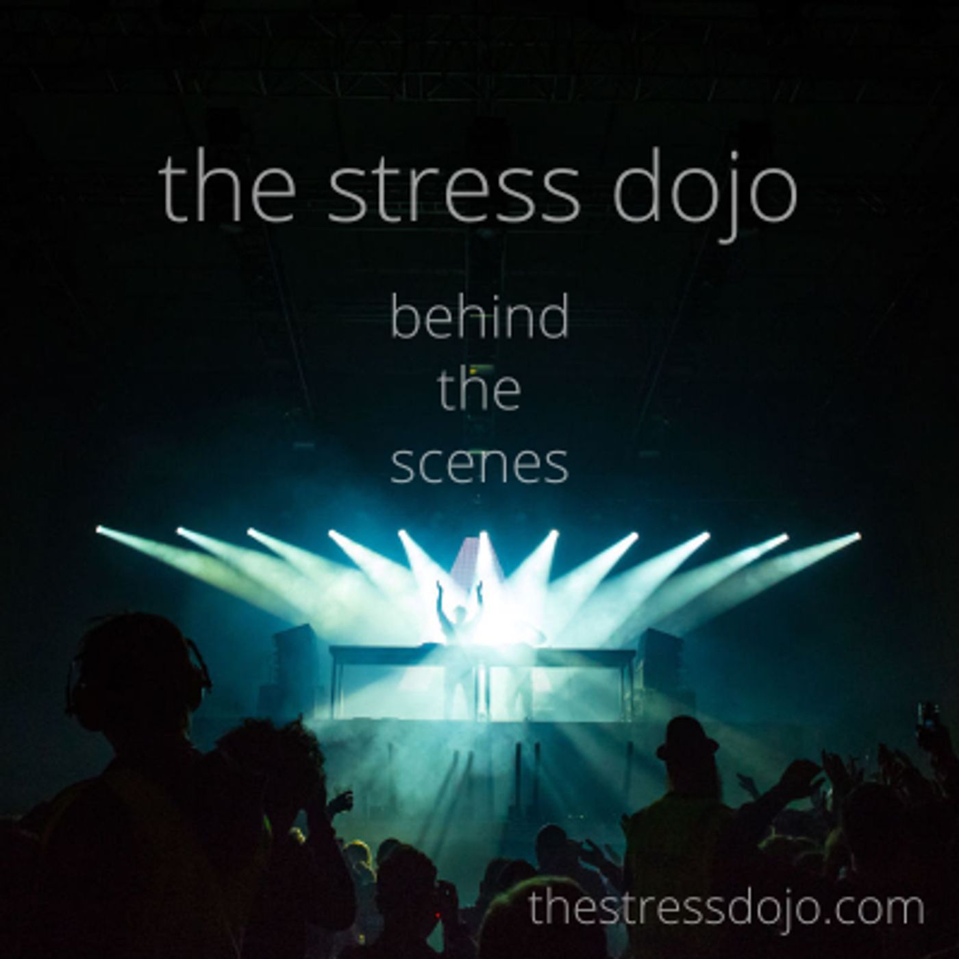 The Stress Dojo
