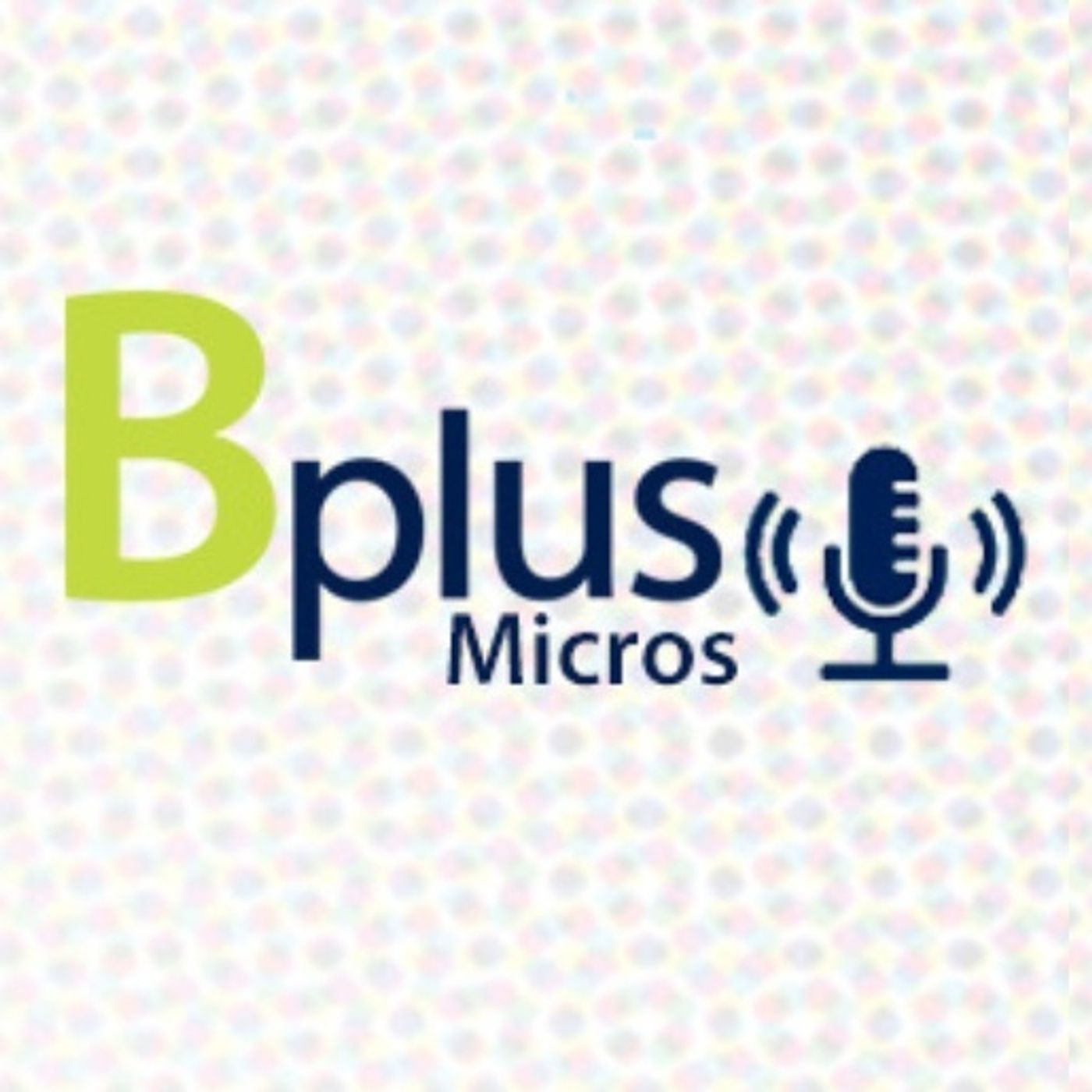 Micros Financieros Bplus