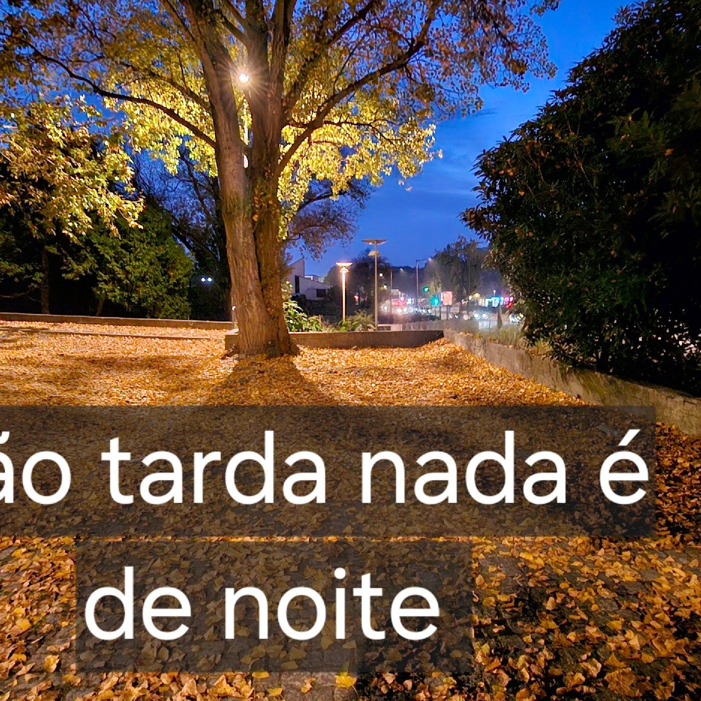 Não tarda nada é de noite podcast artwork