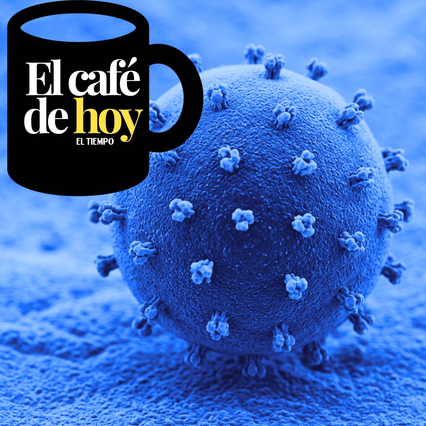 Hantavirus: no hay riesgo de nueva pandemia, pero sí activó alertas episode artwork