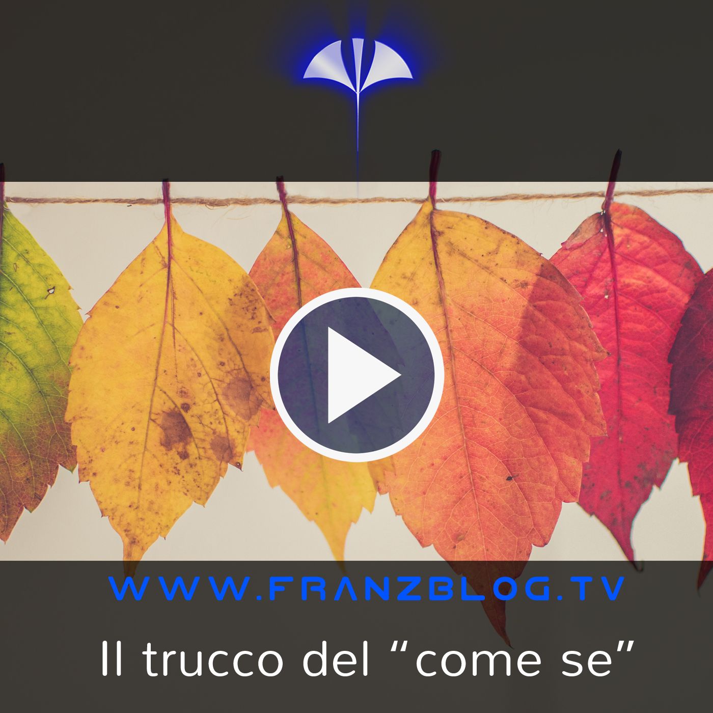 Franz\'s Blog