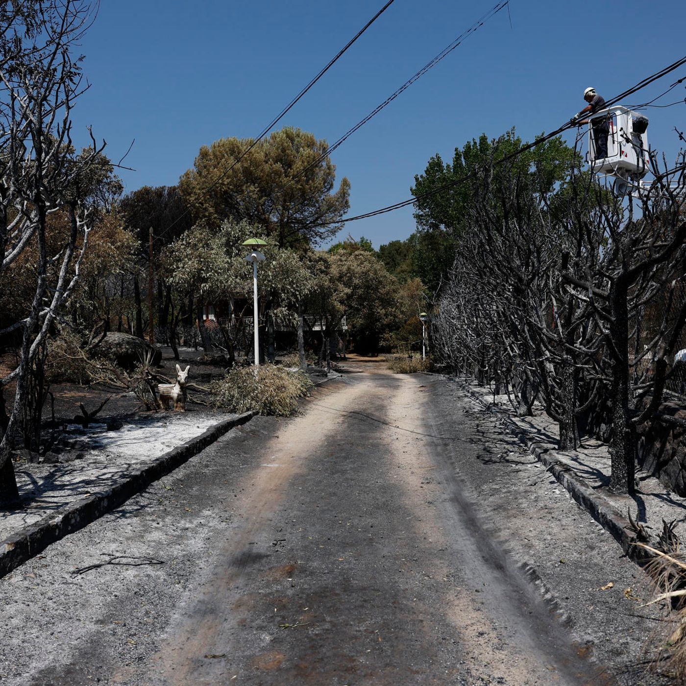 Madrid es Noticia: Estabilizado el incendio en la sierra oeste de la Comunidad de Madrid