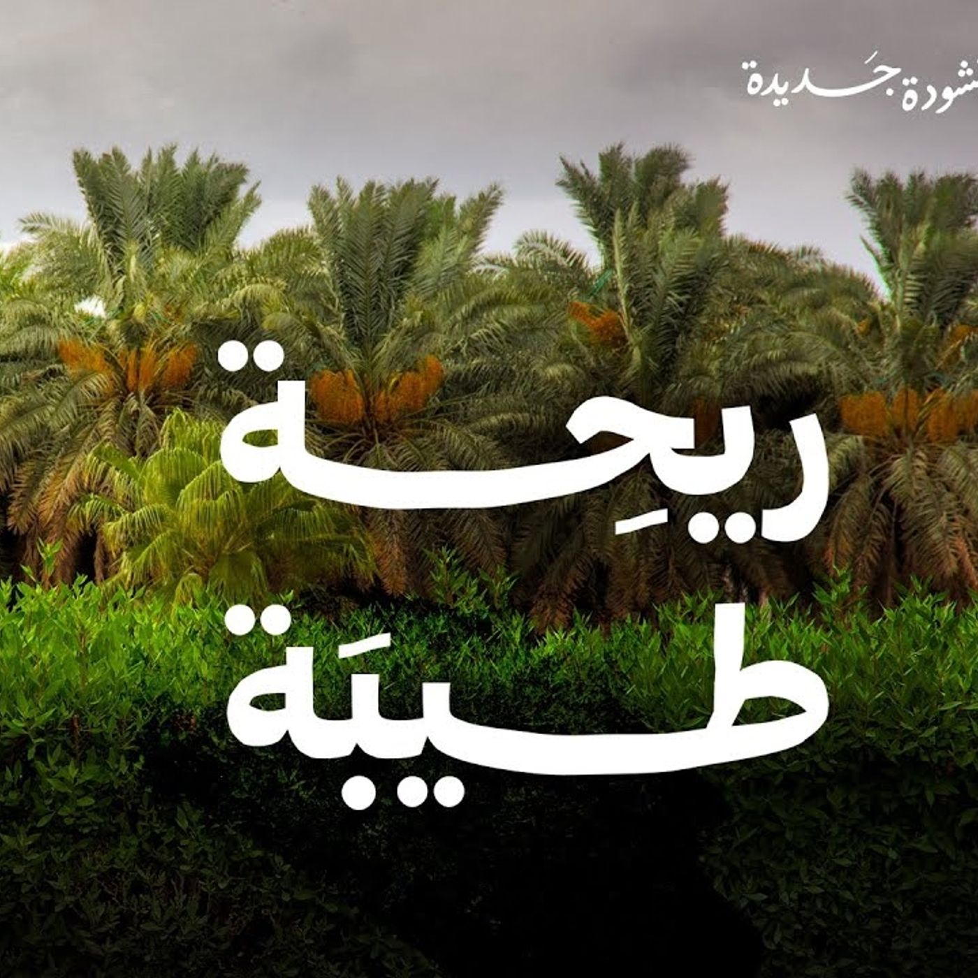 🌿 ريحِة طيبَة 🌿 أنشودة مؤثرة عن المدينة المنورة