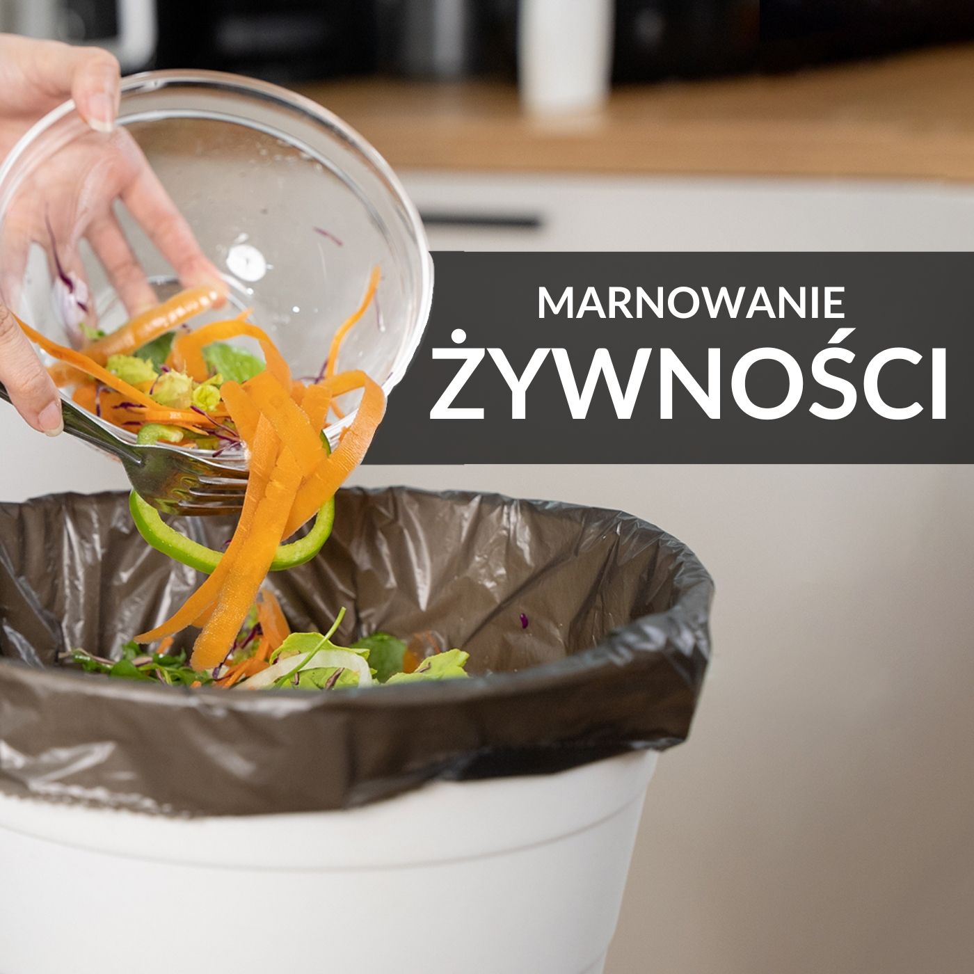 Zagłębie Młodych