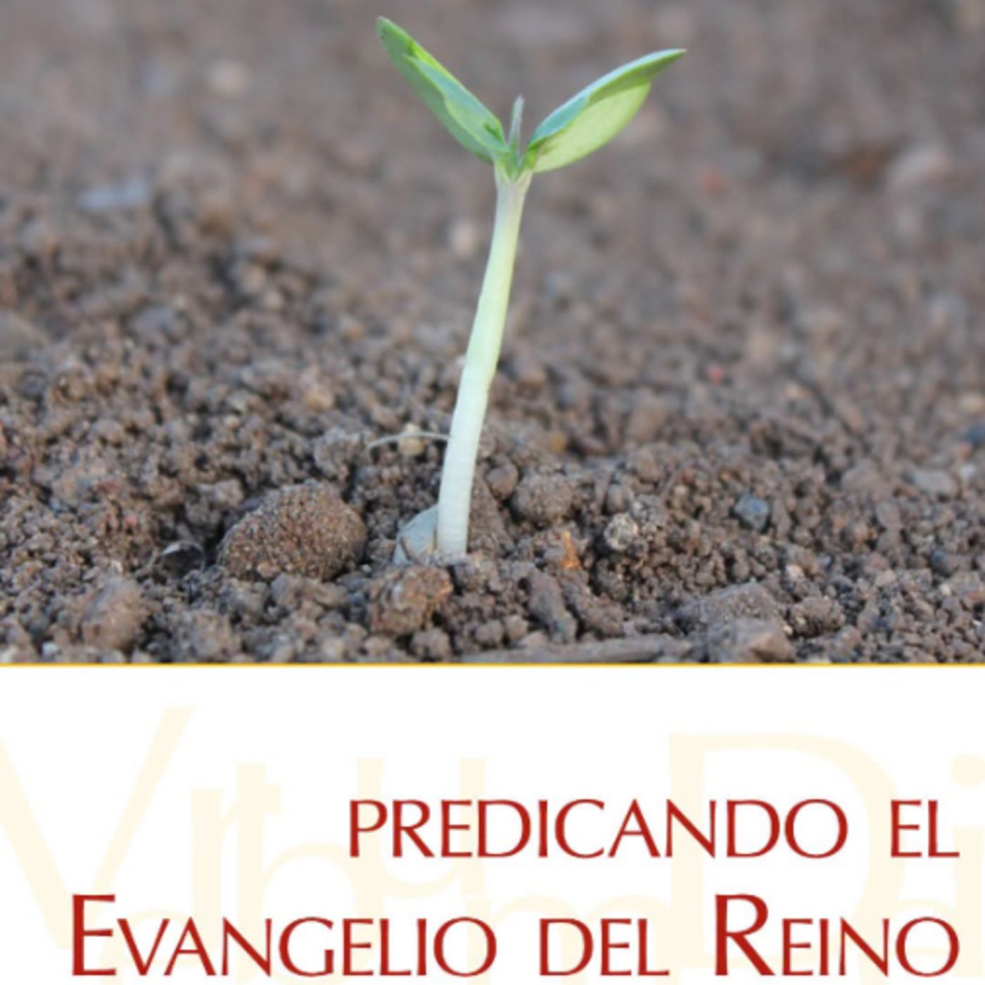 Evangélio Diario 7 de Julio Mons Enrique Diaz Diaz episode artwork