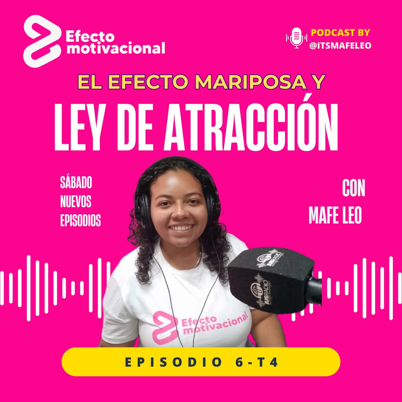 El efecto mariposa y la ley de atraccion