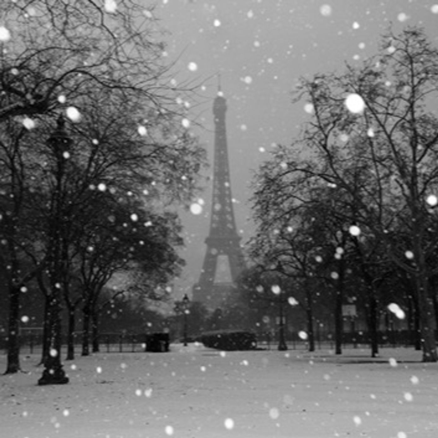 SN. 4/EP. #139 - RADIO VERSION - Toni McClintock on Winter in Paris & Wine Expert Michael Butler episode artwork