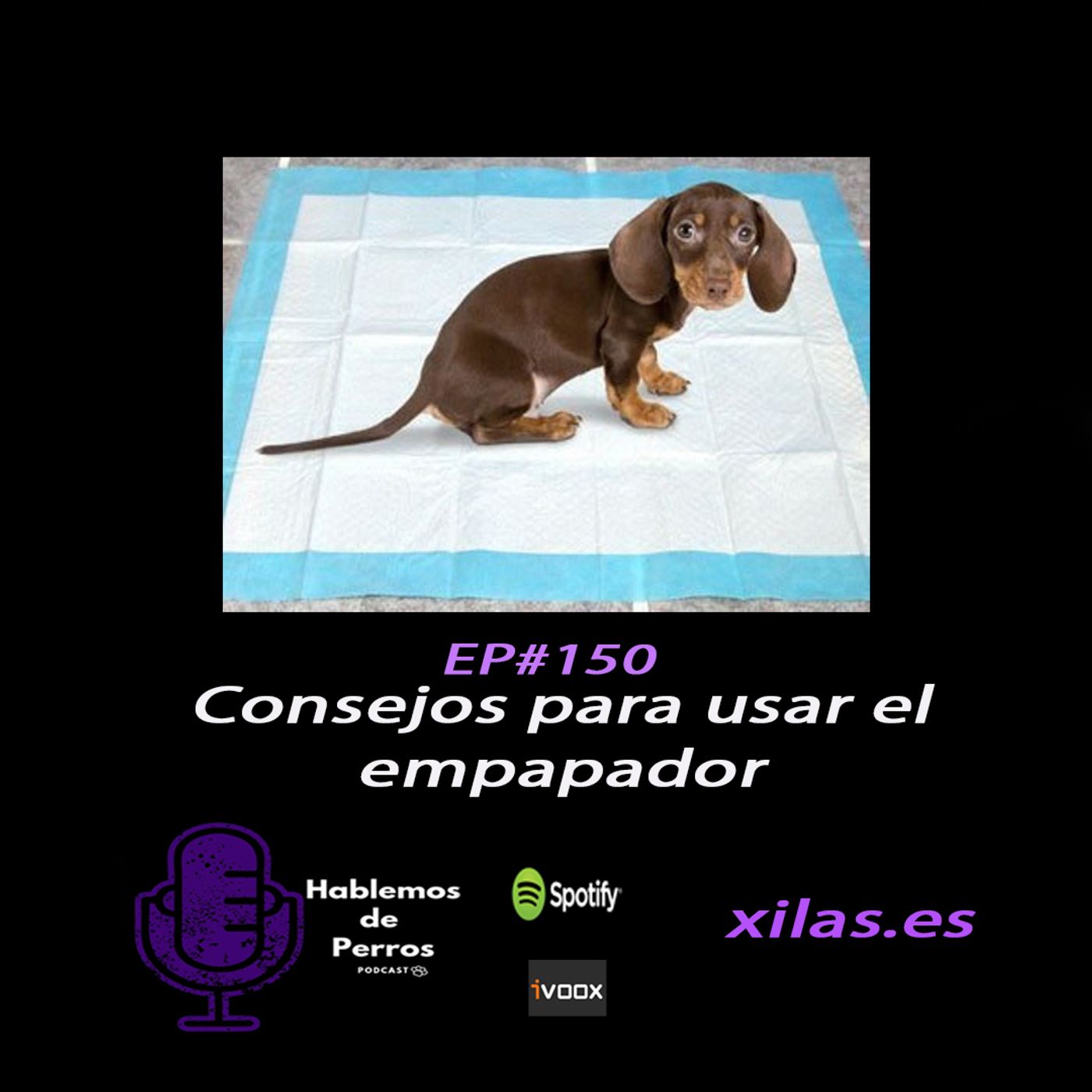 Hablemos de perros
