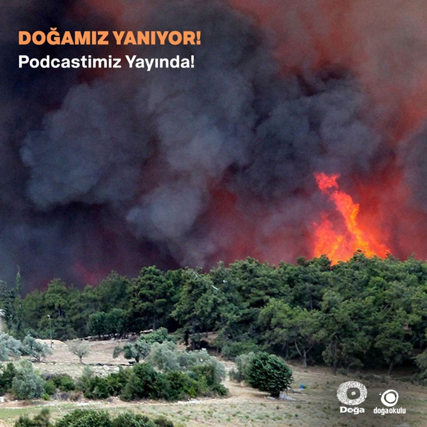 Doğamız Yanıyor! Prof. Dr. Çağatay Tavşanoğlu ile Orman Yangınları Üzerine episode artwork