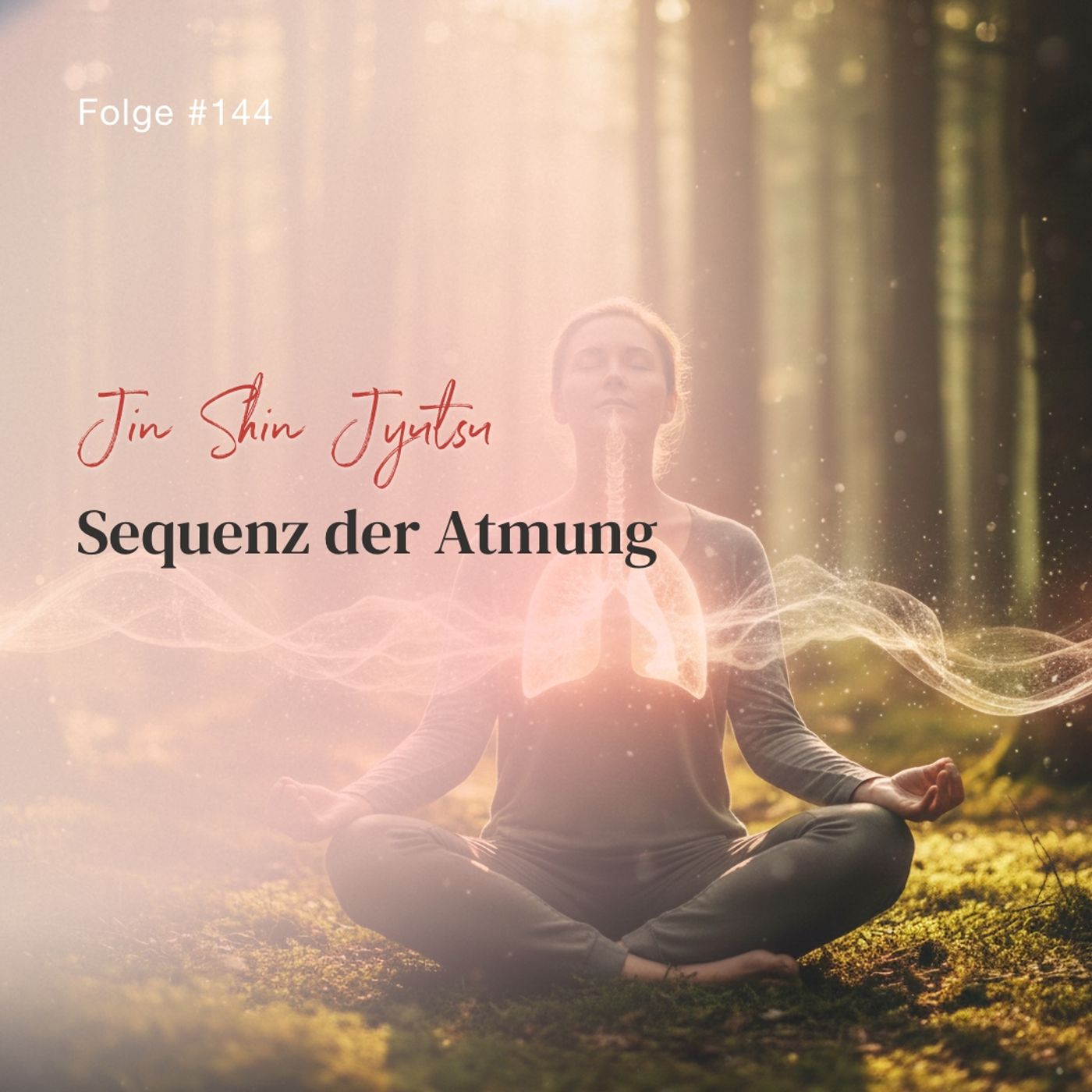 Sequenz der Atmung | ca. 19 Min | Folge 144 episode artwork