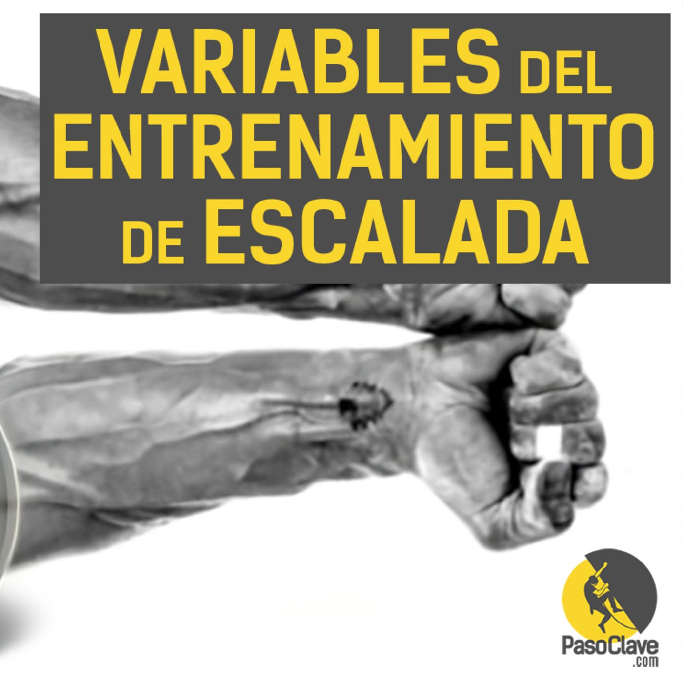 VARIABLES DEL ENTRENAMIENTO DE ESCALADA (Intensidad, Volumen, Frecuencia) episode artwork