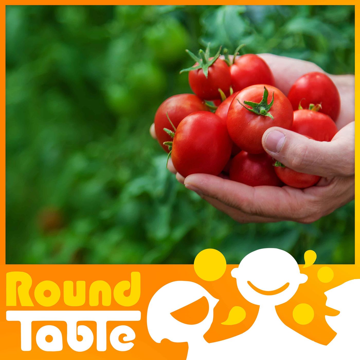 The tale of the tasteless tomato