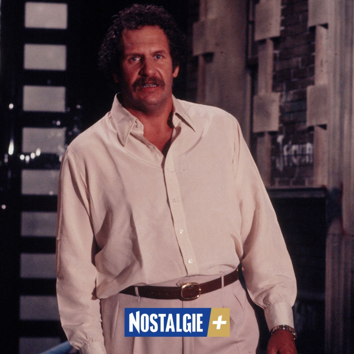1974 : Mort Shuman, de Brooklyn à la Bourgogne sur des « musiques sentimentales » episode artwork