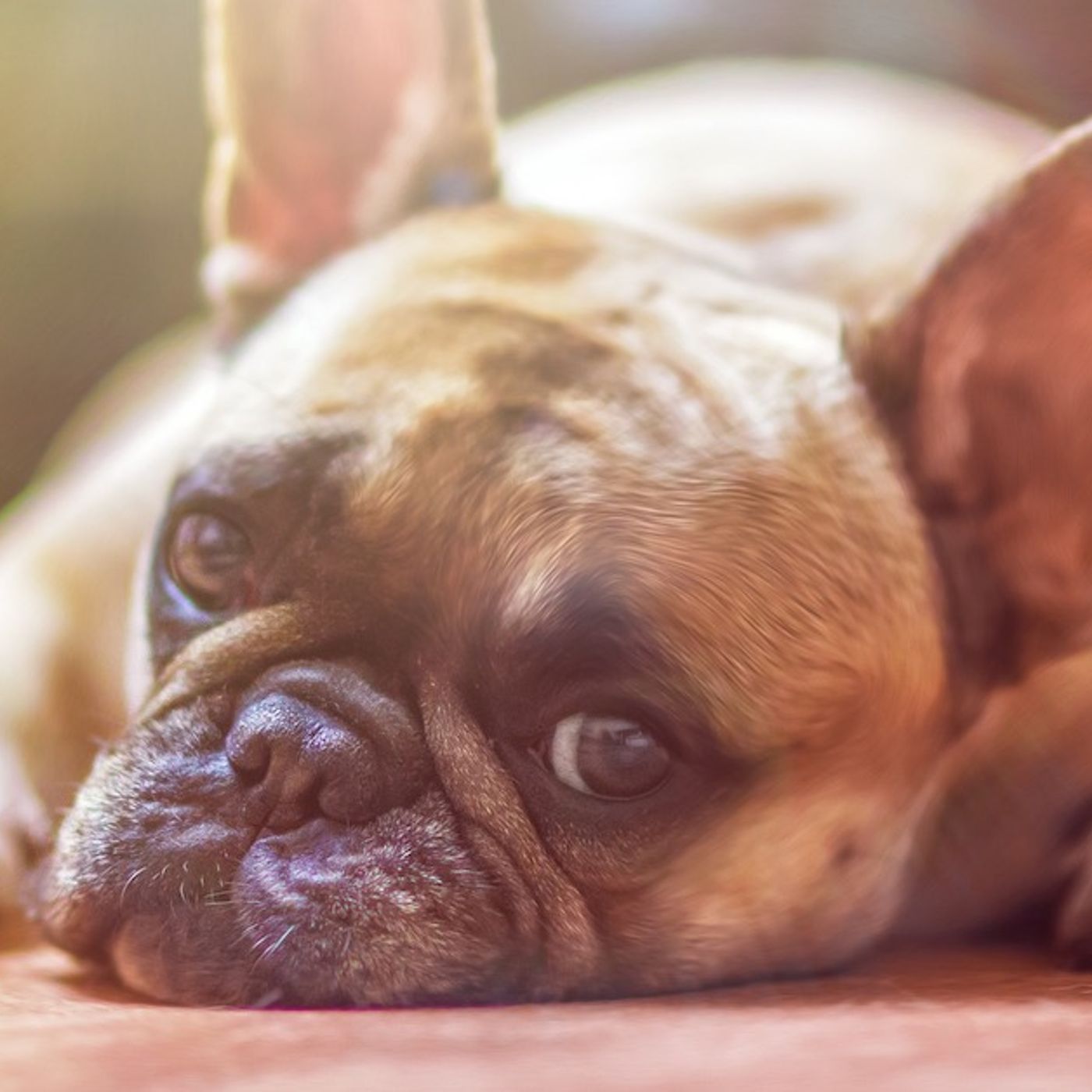 E240: Dealing with Massage Business Boredom