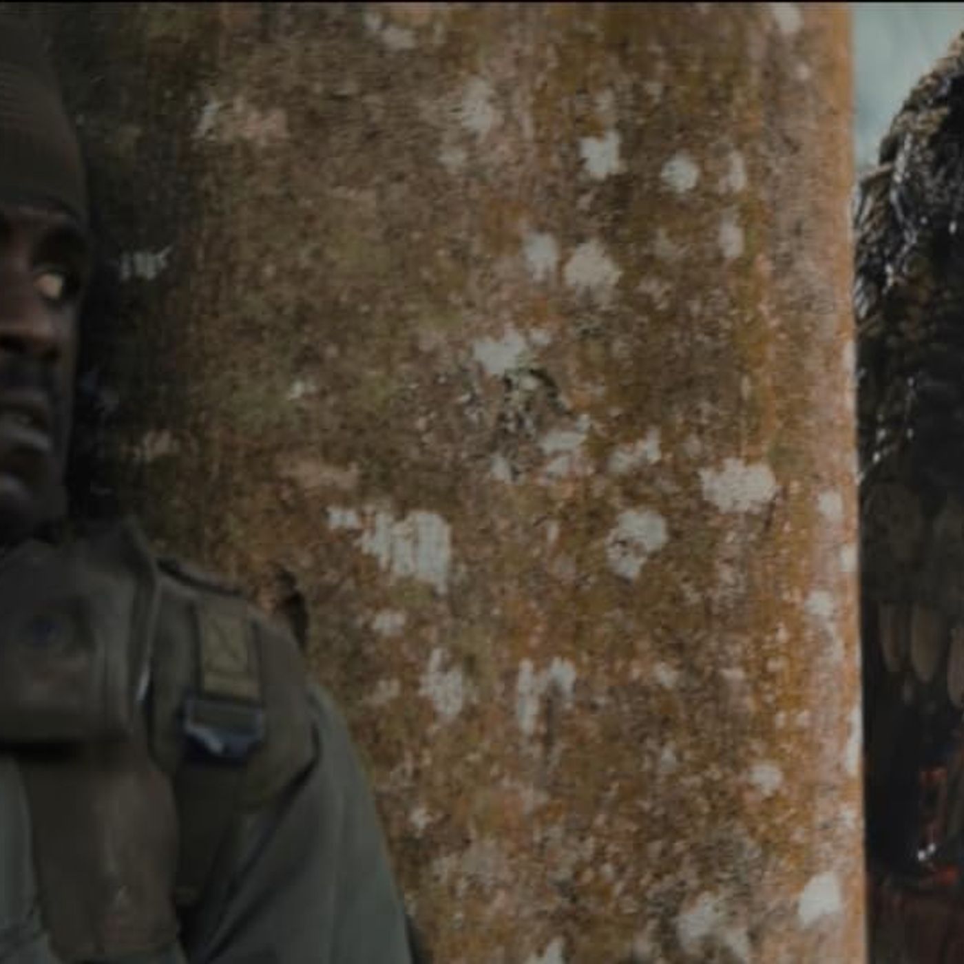 Subculture Film Reviews - PRIMITIVE WAR (Central Coast Radio)