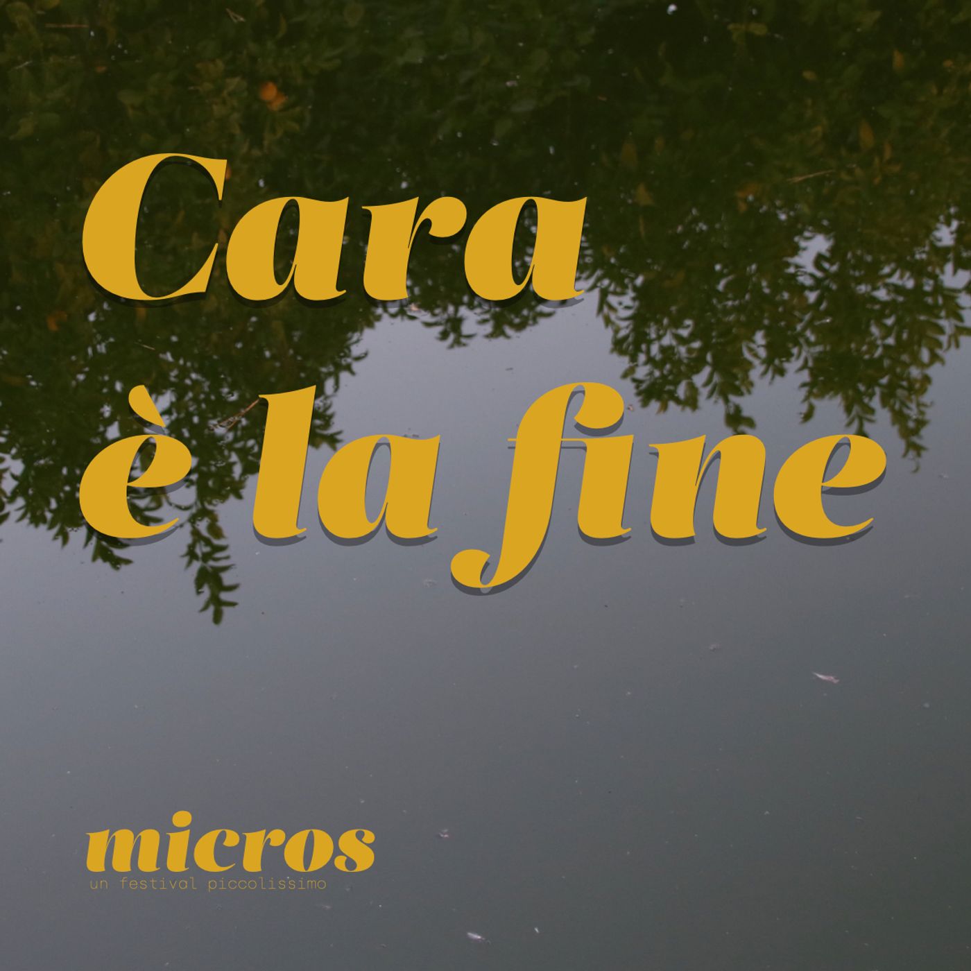 Cara è la fine