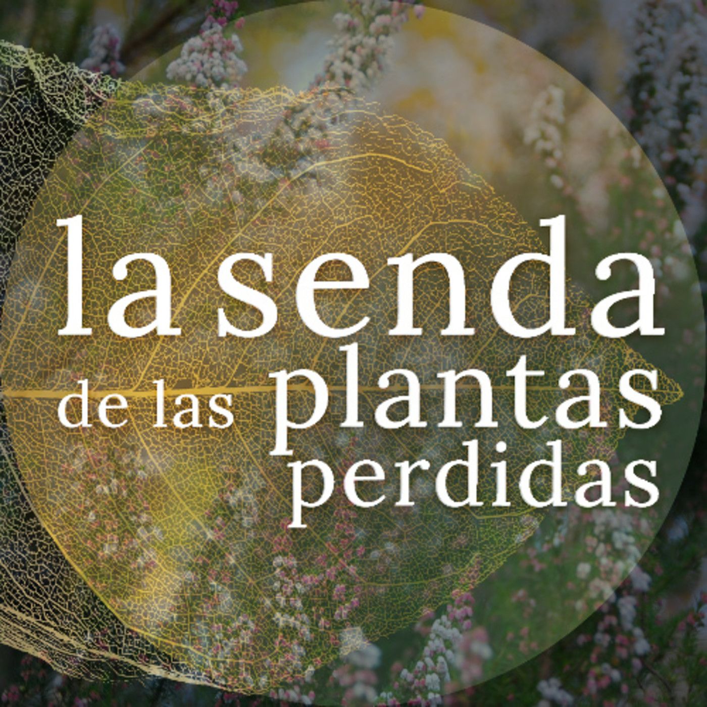 La Senda de las Plantas Perdidas