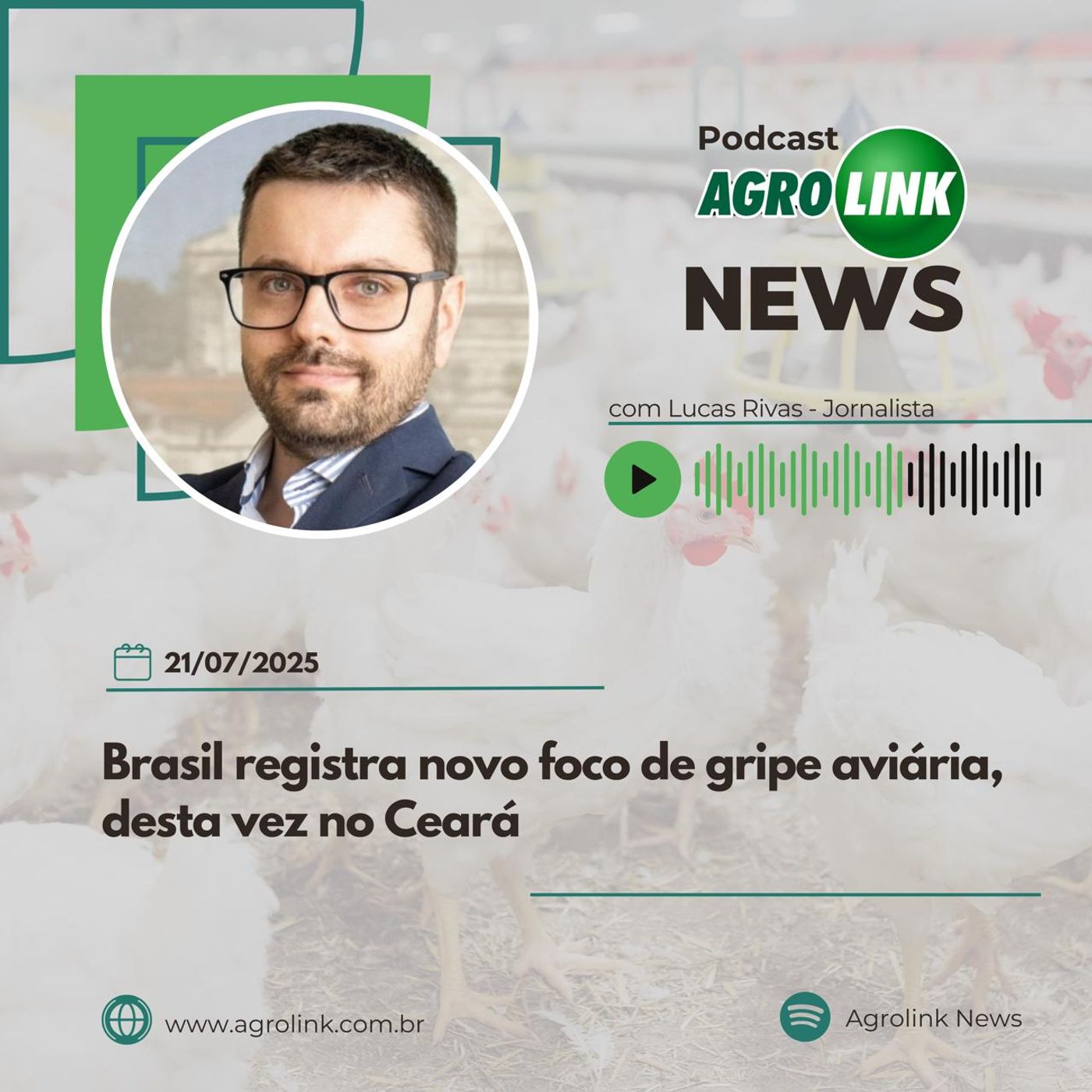 Paraná tem novo recorde na produção de feijão episode artwork
