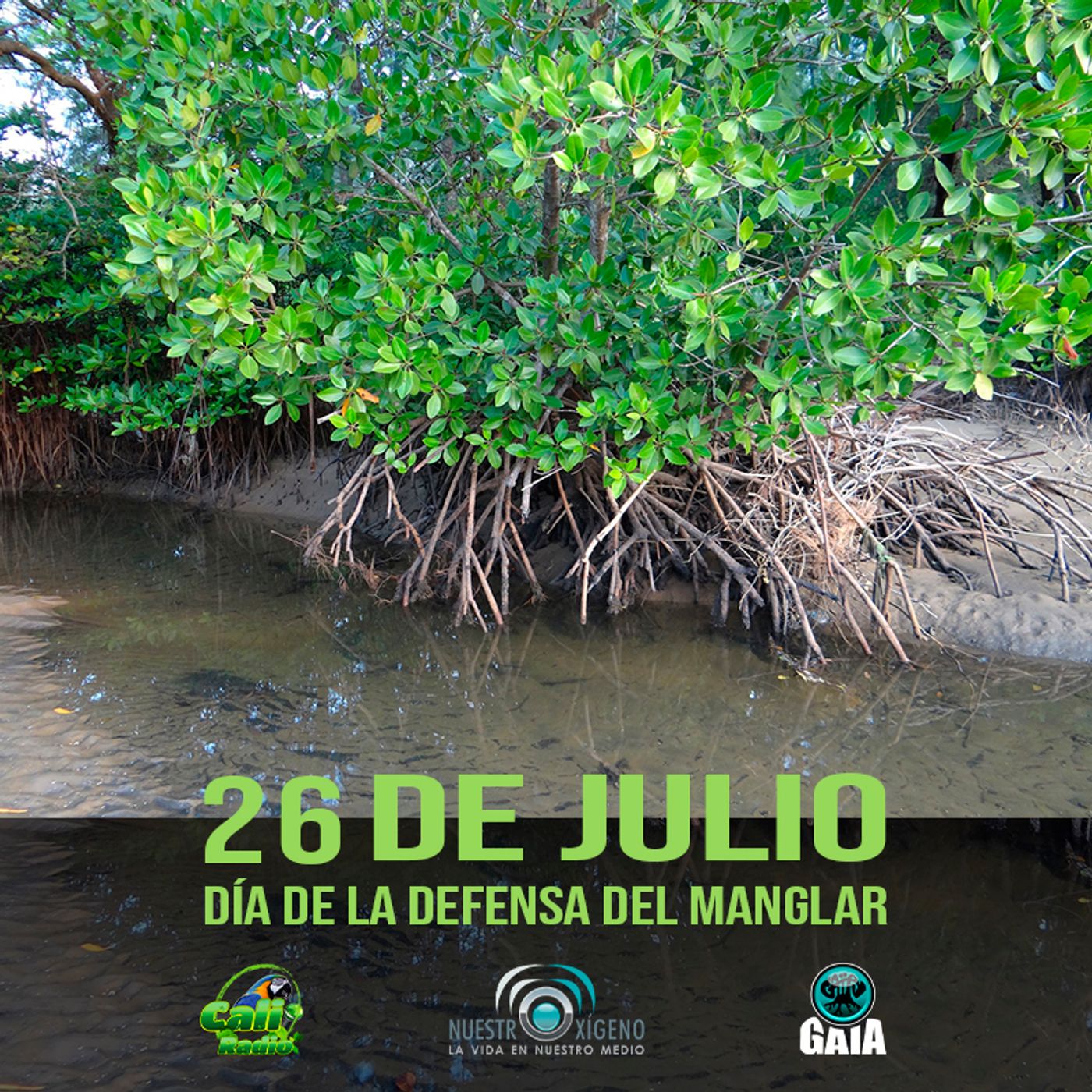 2022 Nuestro Oxigeno 07- Julio