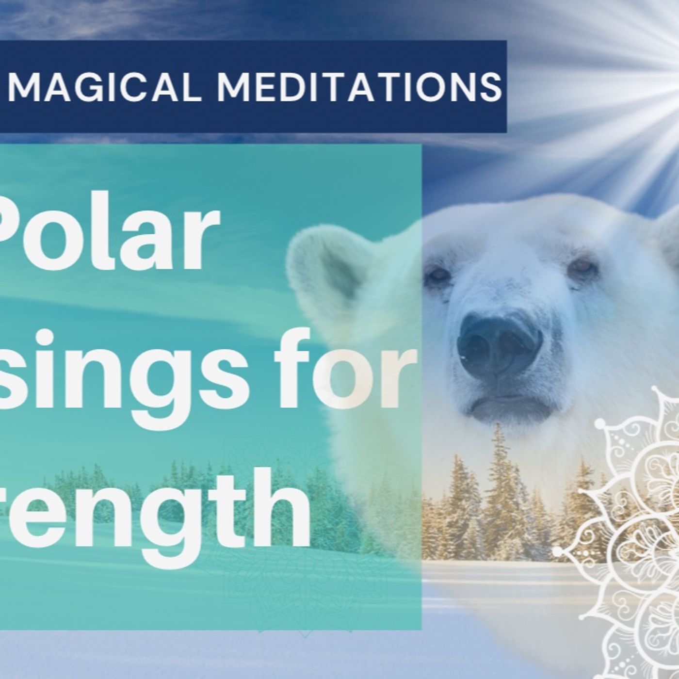 Polar Blessings|12 Days of Magical Meditations