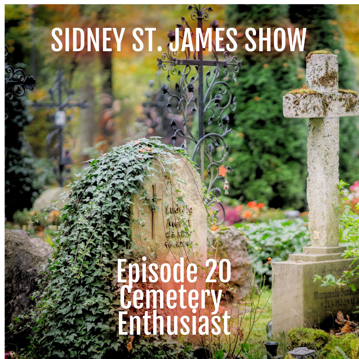 Sidney St. James - Writer of Novels and Teller of Stories