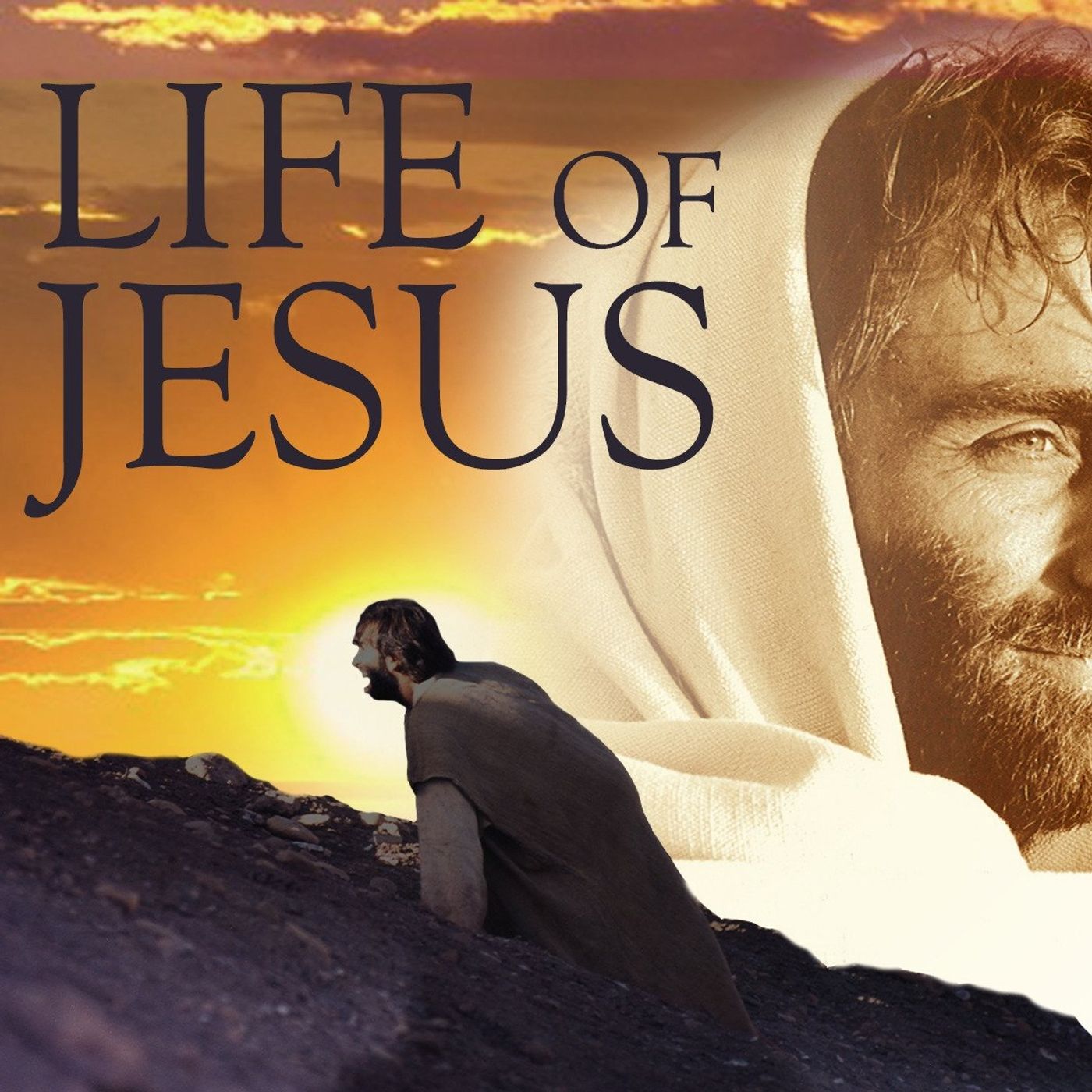 Questions About Jesus