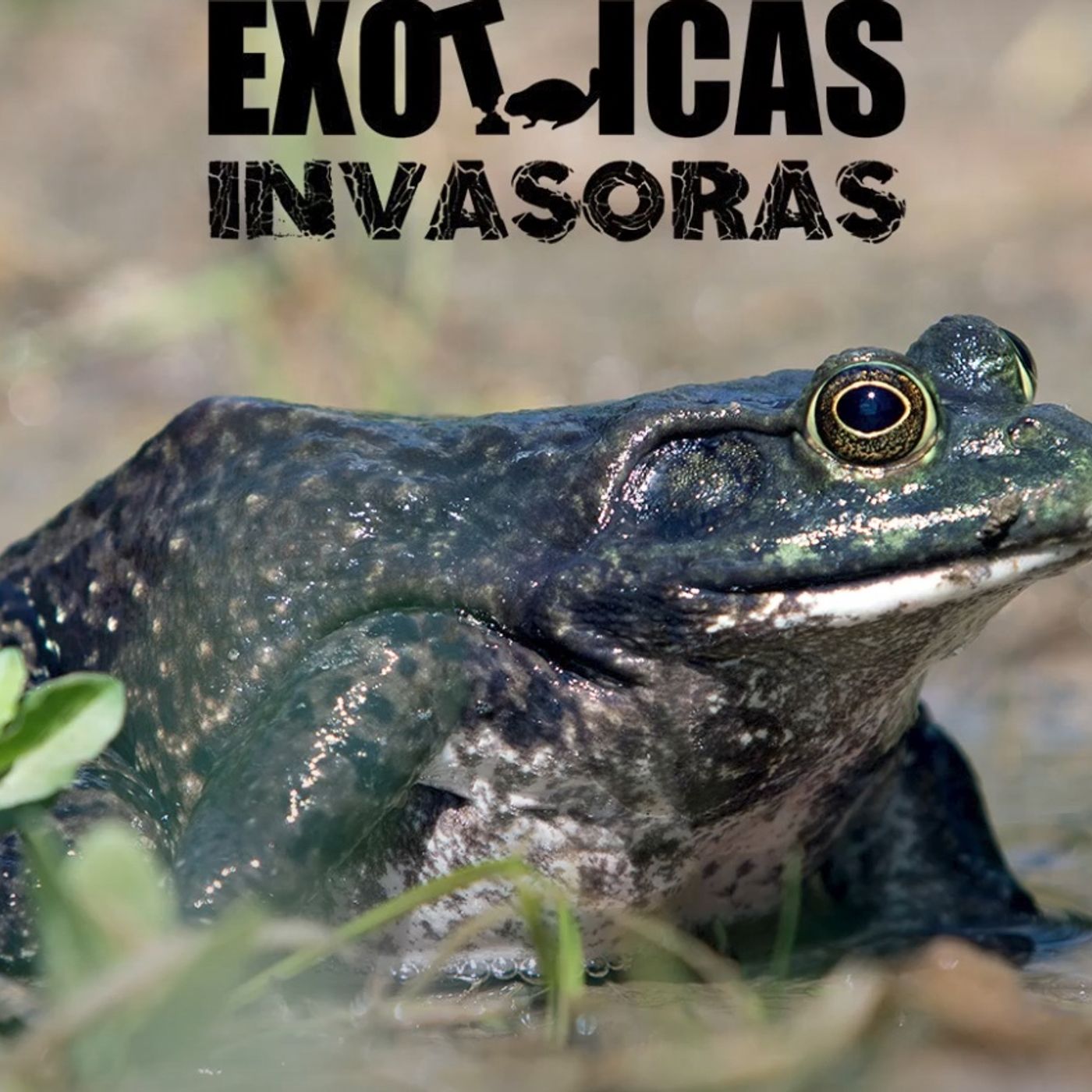 La Amenaza Silenciosa