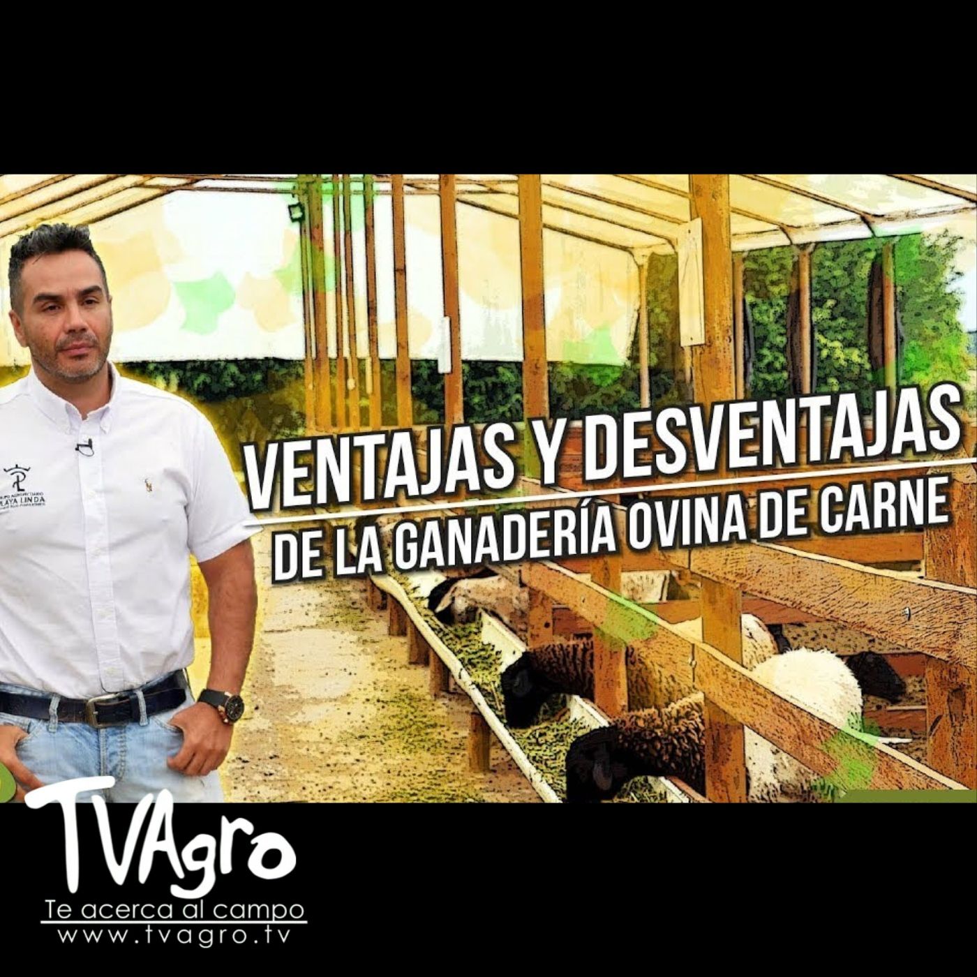 TV AGRO