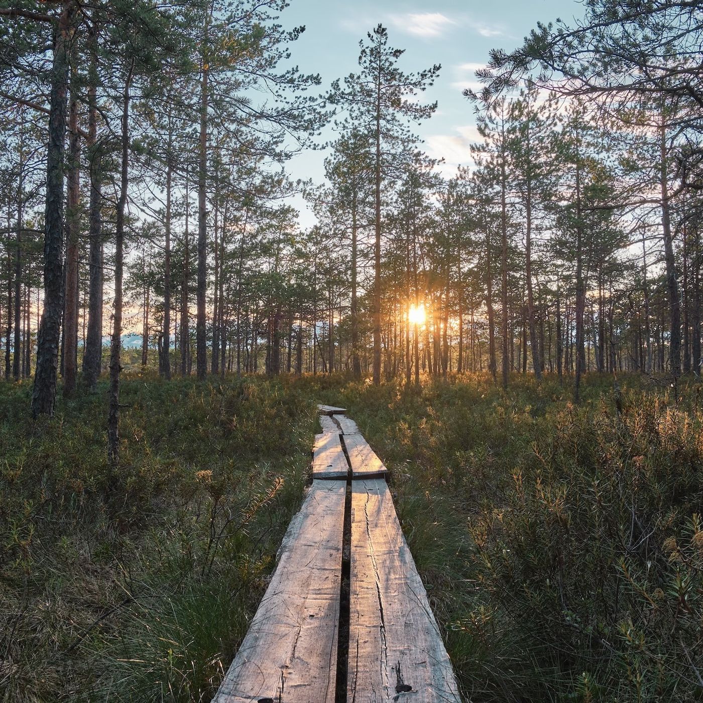 Diretta 388 SecSta Primo Festival del Silenzio in Finlandia episode artwork